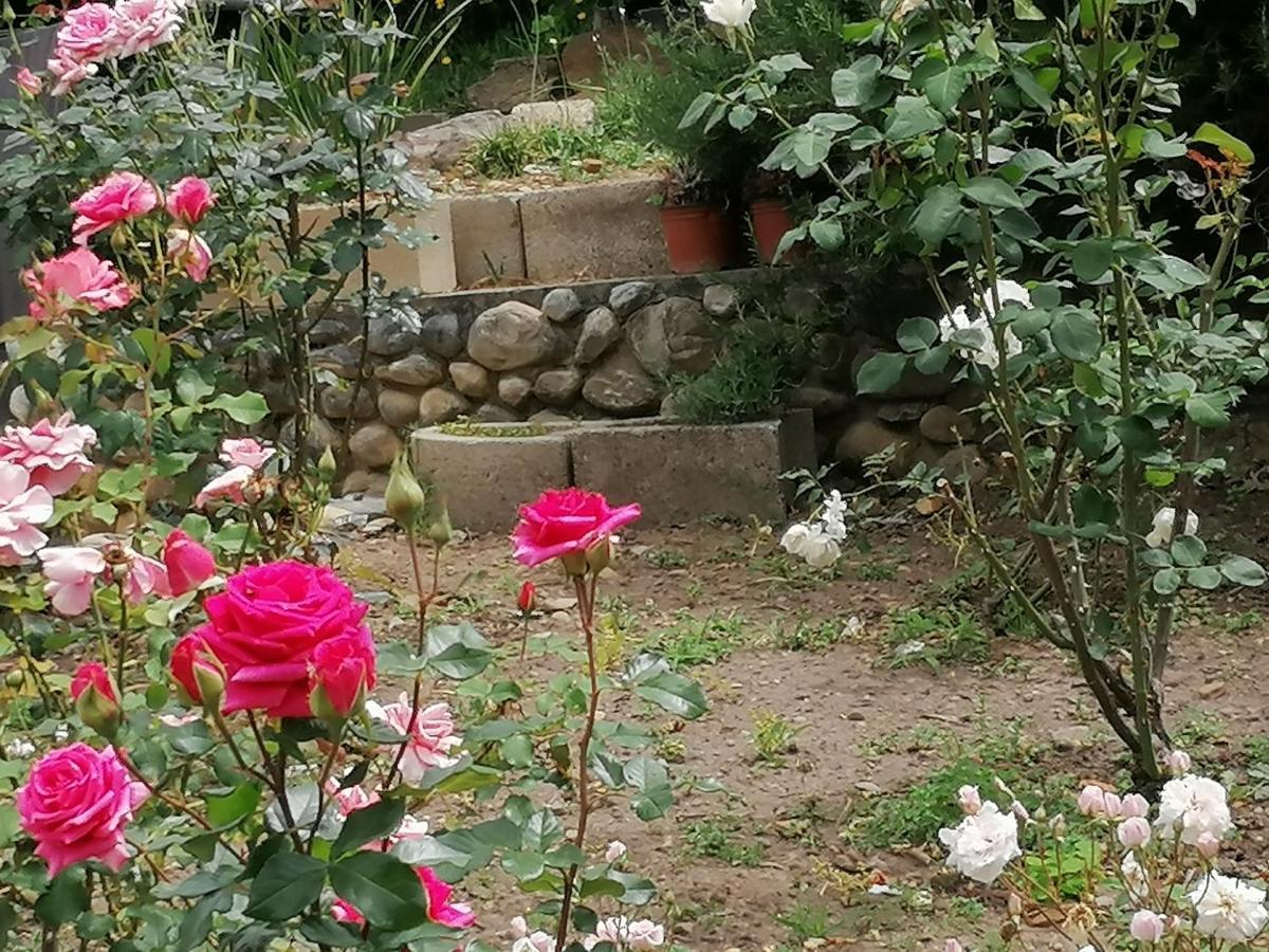 Aanhuizen Guest House Swellendam Buitenkant foto